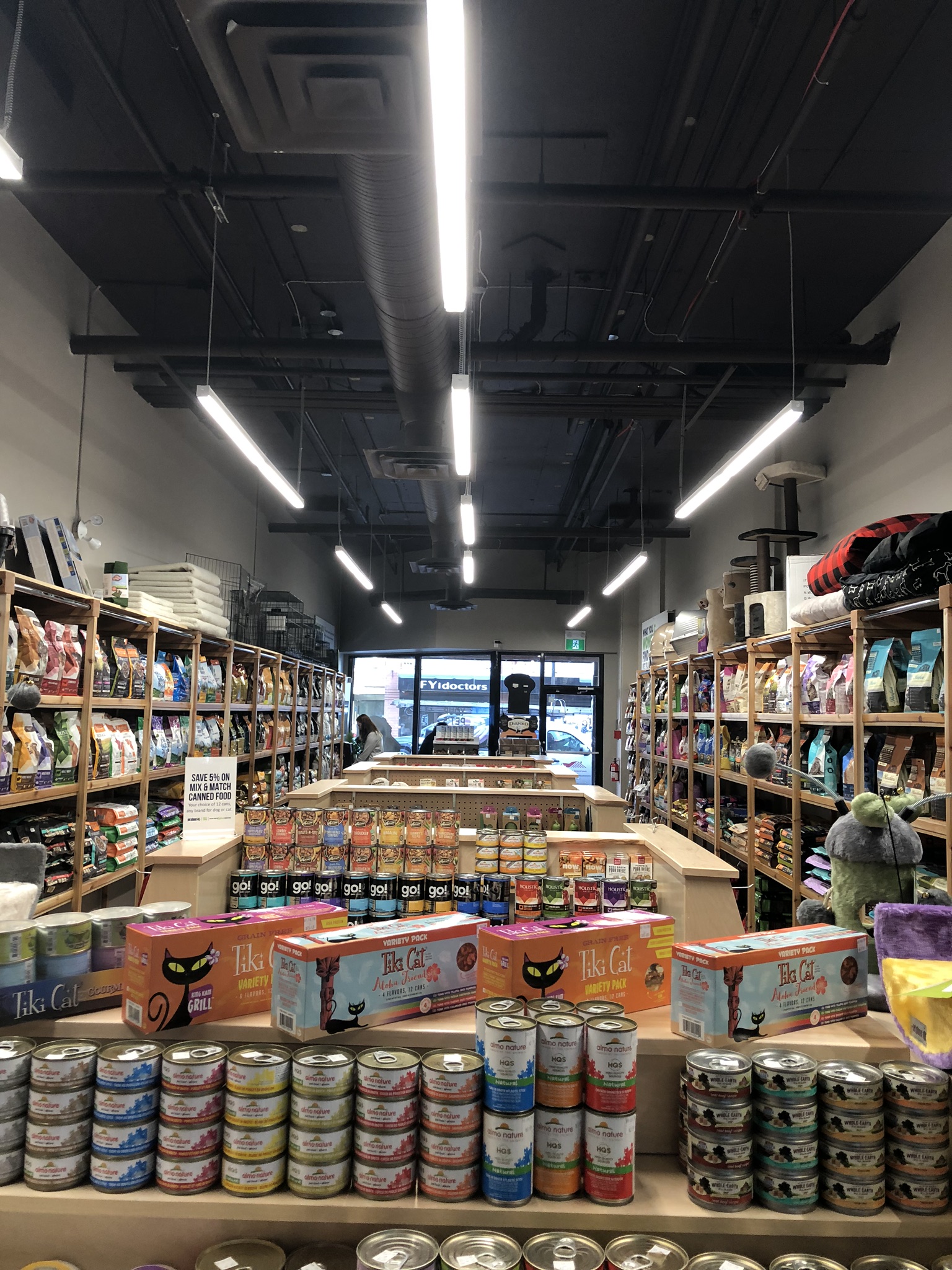 Pet Kensington Kensington